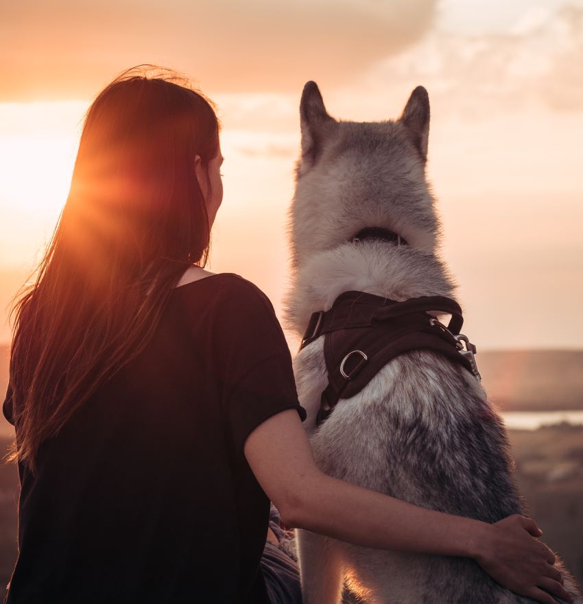 Beautiful girl sits with a dog