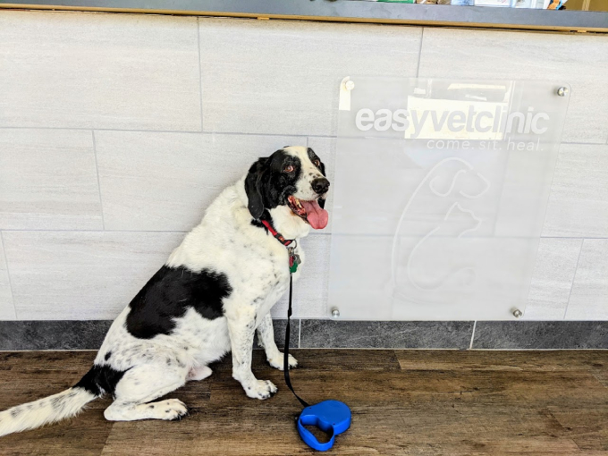 Patient at reception
